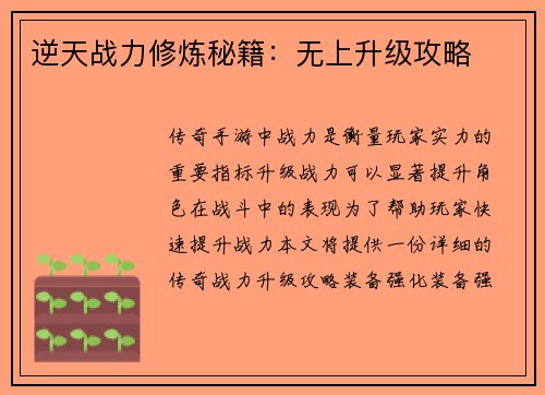 逆天战力修炼秘籍：无上升级攻略